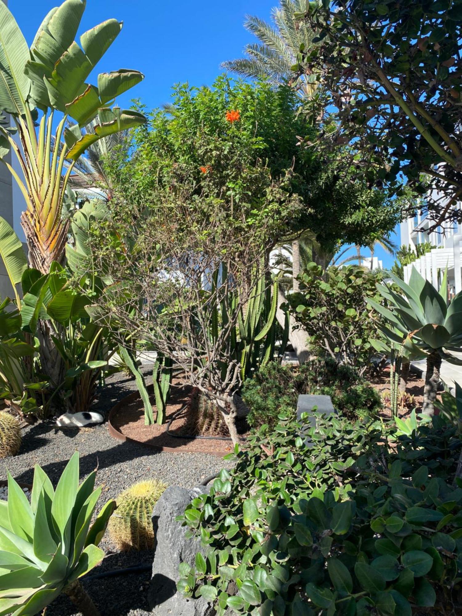Sun And Surf Stay Corralejo Exterior photo